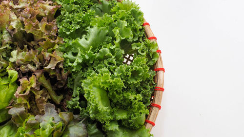 High angle view of vegetables against white background