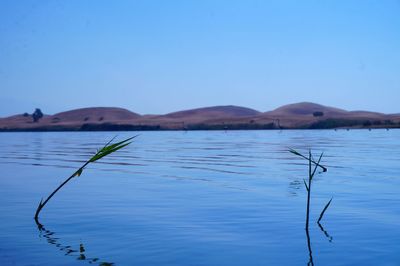 Scenic view of lake against clear sky