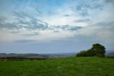 Scenic view of field against sky
