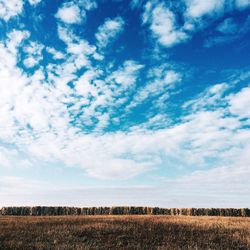 Scenic view of agricultural field against blue sky