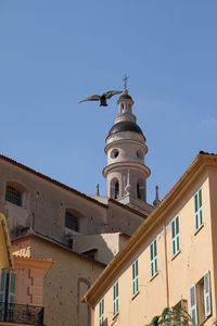 Low angle view of bird flying against clear sky