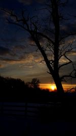 Silhouette bare tree against dramatic sky during sunset