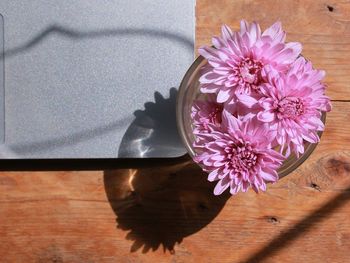 Close-up of flower on table