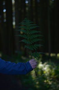Cropped image of man holding branch of plant in forest