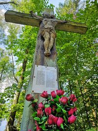 Low angle view of statue against trees