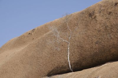 Close-up of sand dune against clear sky