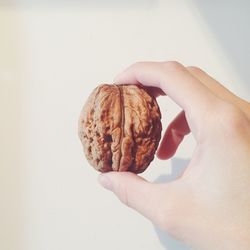 Midsection of person holding bread against white background