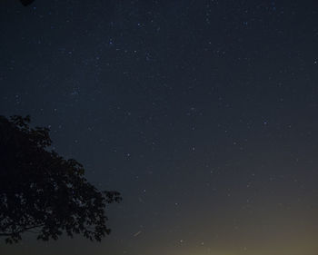 Low angle view of tree against glittering stars in sky