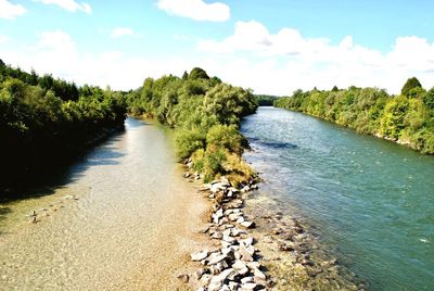 Scenic view of river amidst trees against sky