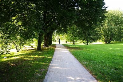 Woman on road amidst trees against sky