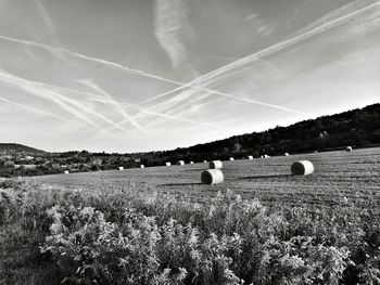 Scenic view of field against clear sky