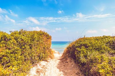 Scenic view of sea against sky