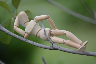 Low angle view of ropes on tree