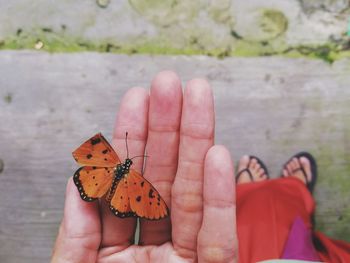 Low section of woman with butterfly on hand