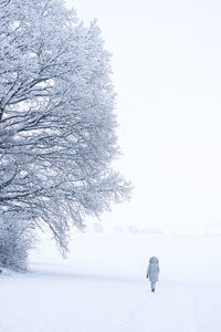 Rear view of person on snow covered field