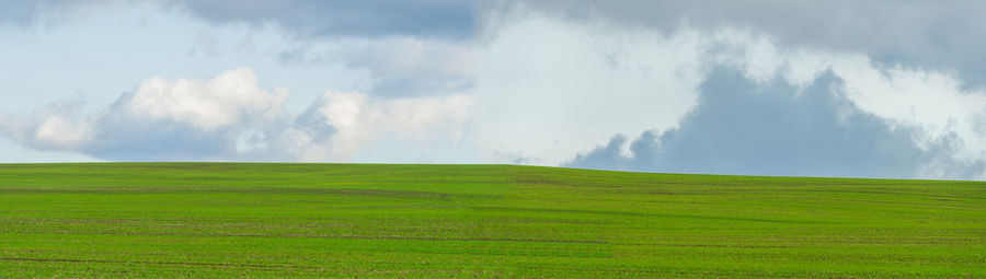 Panoramic view of agricultural field against sky