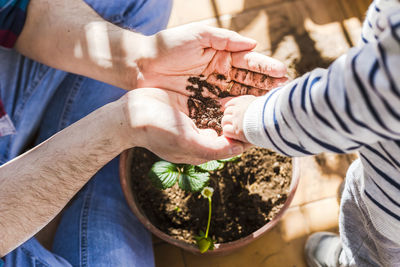 Midsection of woman holding potted plant