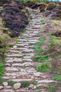 High angle view of footpath