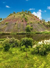 Famous donetsk heaps. plants growing on land against sky