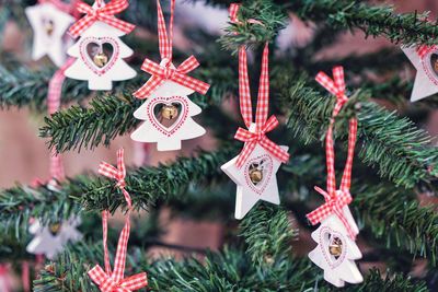 Close-up of christmas decorations hanging on tree