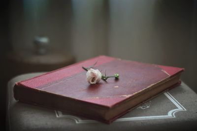 Pink rose on book at seat