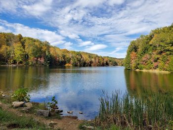 Scenic view of lake by trees against sky