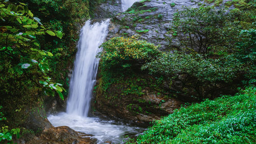 Scenic view of waterfall in forest