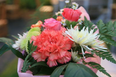 Close-up of flowers blooming outdoors