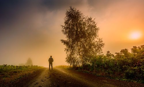 Rear view of man standing on footpath by tree at sunset