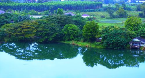 Reflection of trees in lake against sky