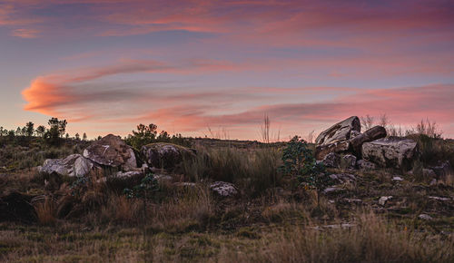 Landscape of galicia