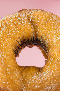 Close-up of orange slice over white background