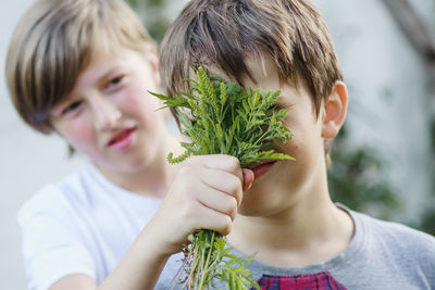 Close-up of woman holding plant