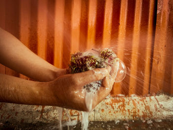 Cropped hands holding flowers with water and soap sud