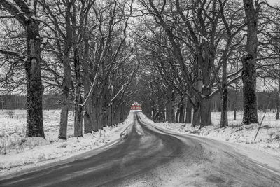 Krokstad's trees alle