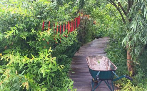 Empty chair in garden