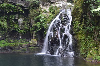 Scenic view of waterfall in forest