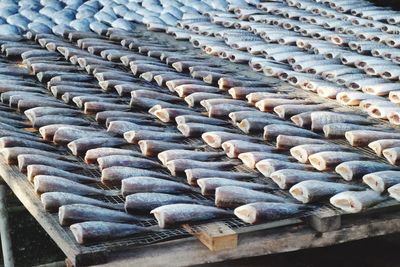 High angle view of fishes on table at field
