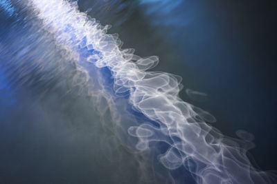 Close-up of jellyfish against black background