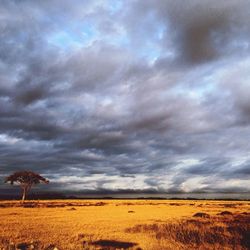 Scenic view of field against cloudy sky