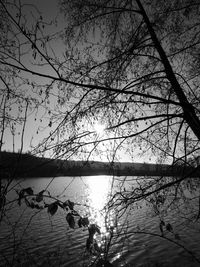 Silhouette tree by lake against sky