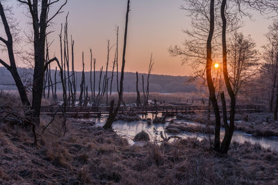 Bare trees on landscape against sky during sunset