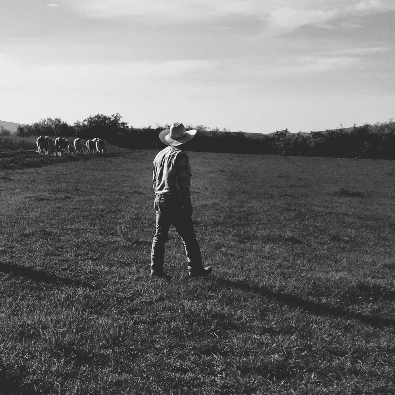 field, grass, sky, leisure activity, lifestyles, full length, landscape, grassy, casual clothing, childhood, tranquility, nature, standing, tranquil scene, cloud - sky, rear view, boys, day