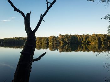 Bare tree by lake against sky