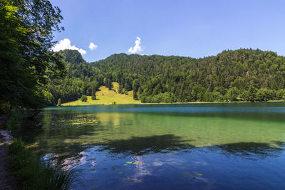 Scenic view of lake in forest against sky