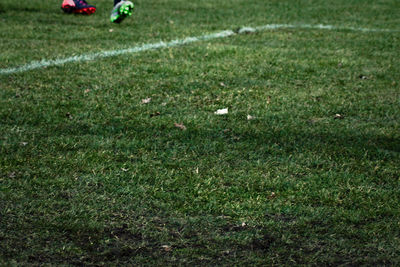 View of grassy field