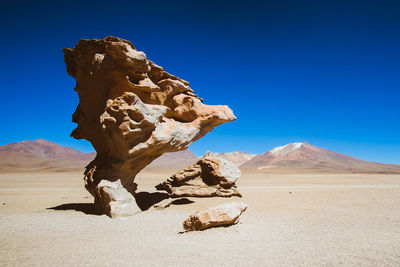 Dead tree on desert against sky