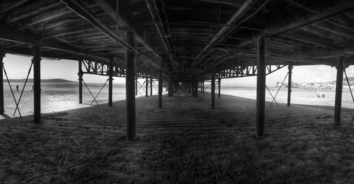 Trees on beach below view of bridge