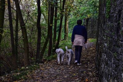 Rear view of man with dog in forest