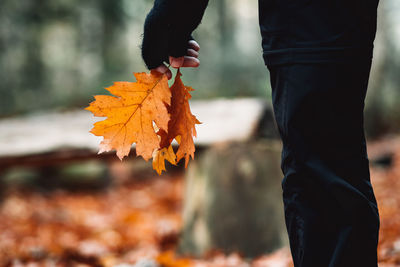 Close-up of hand on maple leaf during autumn